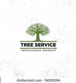 Professional Arborist Tree Care Service Organic Eco Sign Concept. Landscaping Design Raw Vector Illustration On Distressed Wall Background