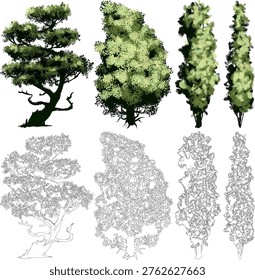 professional asset pack featuring stylized tree renders and precise line art, designed for landscape visualization, architectural planning, and nature-themed digital art.