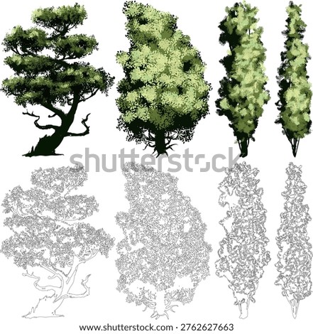 professional asset pack featuring stylized tree renders and precise line art, designed for landscape visualization, architectural planning, and nature-themed digital art.