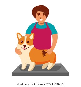 Professional barber grooming dog corgi breed.Woman of pet for cutting and brushing fur.Character of cute dog.