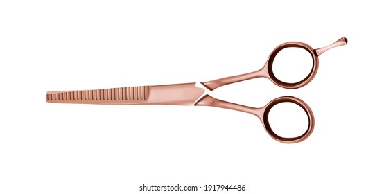 Professional Barber Thinning Shears Scissors Isolated