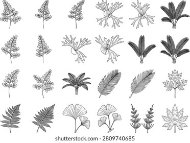 Professional botanical collection featuring ferns, cycads, and ginkgo leaves in detailed technical line art. Perfect for architectural landscaping plans, minimalist branding, and nature-themed graphic design projects.