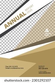 Professional brown annual company report