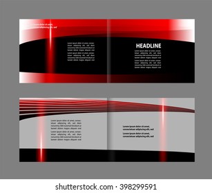 Professional business brochure design
