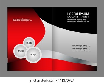 Professional business brochure design
