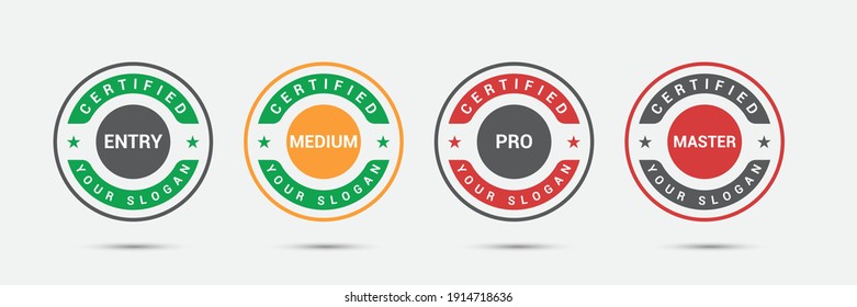 Professional business certified logo badge. Certification exam candidates label icon template. Vector illustration.