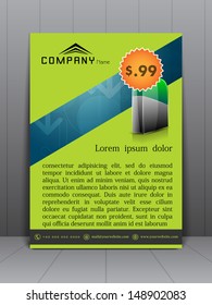 Professional business flyer template or corporate banner design, can be use for publishing, print and presentation.