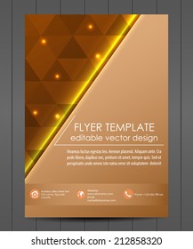 Professional business flyer template or corporate banner/design for print, publishing or working presentation 