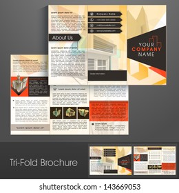 Professional business three fold flyer template, corporate brochure or cover design, can be use for publishing, print and presentation.