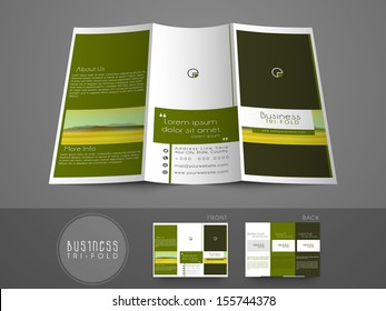 Professional business three fold flyer template, corporate brochure or cover design, can be use for publishing, print and presentation. 