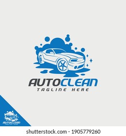 Professional Car Wash Company  Or Business Logo