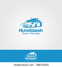 Professional Car Wash Company Or Business Logo