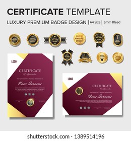 Professional Certificate design with premium badge