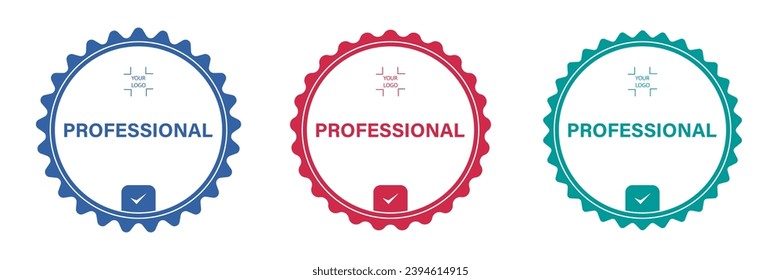 Professional certificate done. Certified logo badges set. Criteria level digital certificate with your logo copy space. Vector certified template.