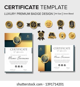 Professional certificate with premium badge