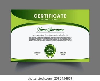 Professional Certificates design template concept