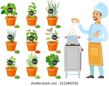 Professional chef stands with spoon and soup pot on stove. Man preparing dish, adding spice to meal. Male character adds ingredients to hot dish. Cook near plants with spices and herbs in pots