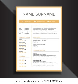 Professional Clean Simple Resume CV Template Design
