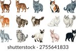 A professional collection of diverse cat breed illustrations including Siamese, Persian, and Maine Coon, ideal for International Cat Day marketing and pet care designs.