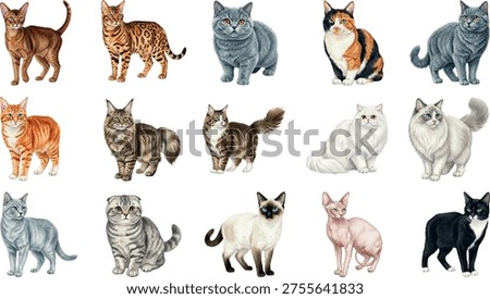 A professional collection of diverse cat breed illustrations including Siamese, Persian, and Maine Coon, ideal for International Cat Day marketing and pet care designs.