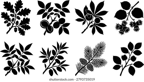 A professional collection of eight botanical branch silhouettes perfect for minimalist nature-themed graphic designs and logo branding. These versatile vector elements feature various forest trees with nuts, seeds, and pine cones.
