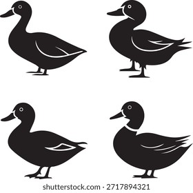 Uma coleção profissional com quatro silhuetas exclusivas de espécies de patos, renderizadas como vetores pretos limpos para uso versátil em marcas de vida selvagem, projetos de natureza e designs criativos.
