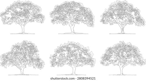 A professional collection six
