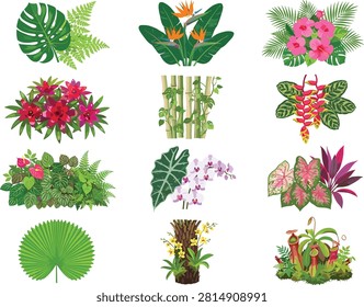  Professional collection of twelve tropical botanical arrangements featuring exotic flowers and lush jungle greenery. Ideal for summer branding, wedding stationery, botanical patterns, and travel-themed graphic design.