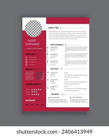  professional Colorful infographic Corporate creative CV