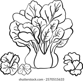 professional coloring page of Leafy Greens