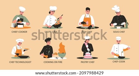 Professional cooking compositions flat set with saute chef sous fish pastry chef chef technologist characters isolated vector illustration