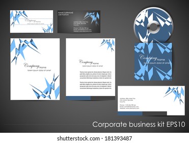 Professional corporate identity kit or business kit/design for your business includes CD cover, business card and envelope/vector illustration