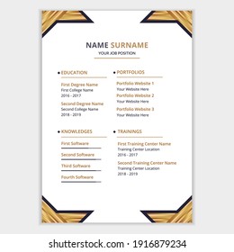 Professional curriculum vitae or resume template. Simple resume or CV design.