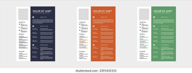 professional curriculum vitae template vector
