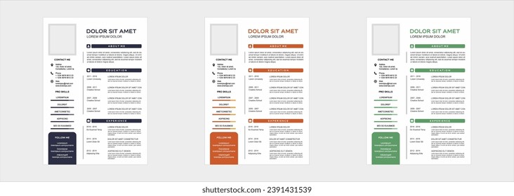 professional curriculum vitae template vector