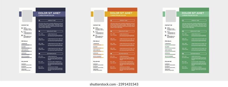 professional curriculum vitae template vector