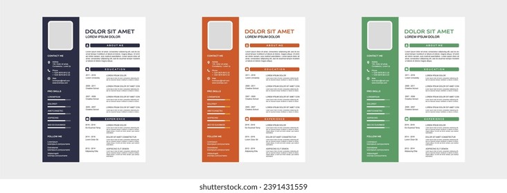 professional curriculum vitae template vector