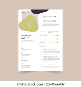 Professional CV resume template design. vector minimalist