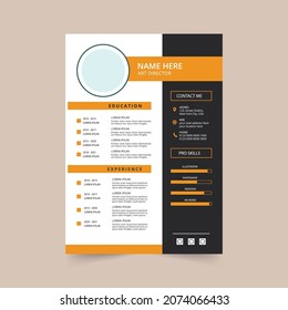 Professional CV resume template design. vector minimalist