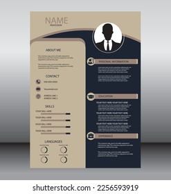Professional CV resume template design.