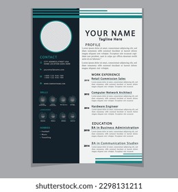 Professional CV resume template design clear and modern elegant stylish design
