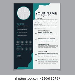 Professional CV resume template design clear and modern elegant stylish design
