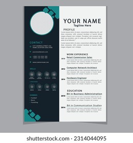 Professional CV resume template design clear and modern elegant stylish design
