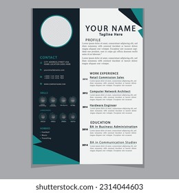 Professional CV resume template design clear and modern elegant stylish design
