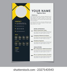 Professional CV resume template design clear and modern elegant stylish design