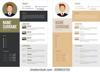 Professional CV, Resume template - elegant stylish design - Vector template