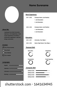 Professional cv template black and gray theme