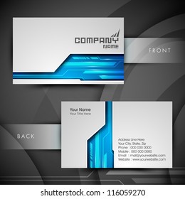 Professional And Designer Business Card Set Or Visiting Card Set. EPS 10.