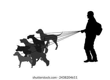 Professional dog walker man on street with many dogs on leash vector silhouette. Walking the pack array of dogs illustration isolated on white. Dalmatian, Fox terrier, Russel jack, Labrador, Poodle...