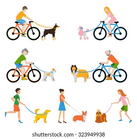 professional dog walking